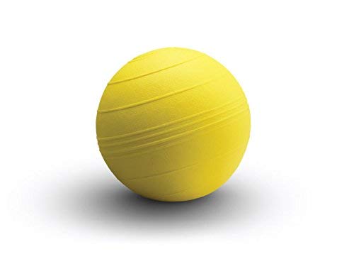 Ironcompany.com D-Ball 10 inch USA-Made Slam Ball - Non Bounce Medicine Ball - Yellow