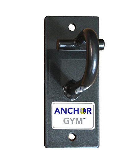 Core Energy Fitness Anchor Gym H1 - Wall or Ceiling Mounted Single Hammer Head Hook for Exercise Bands, Suspension Straps, Heavy Ropes