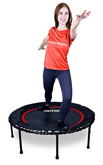 Leaps & ReBounds Bungee Rebounder - in-Home Mini Trampoline - Safety Bungee Cover, Rubber Bungee Fitness Trampoline - Named Best Value Rebounder