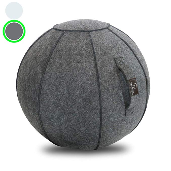 Sitting Ball Chair with Handle for Home, Office, Pilates, Yoga, Stability and Fitness - Includes Exercise Ball with Pump