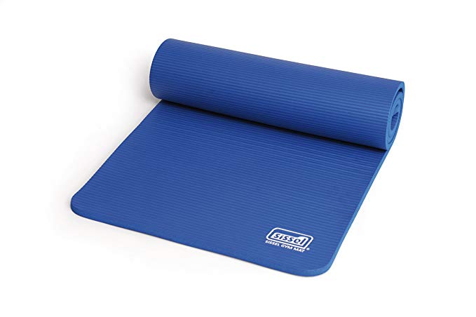 Sissel Gym Mat Floor Exerciser Mat (Blue)