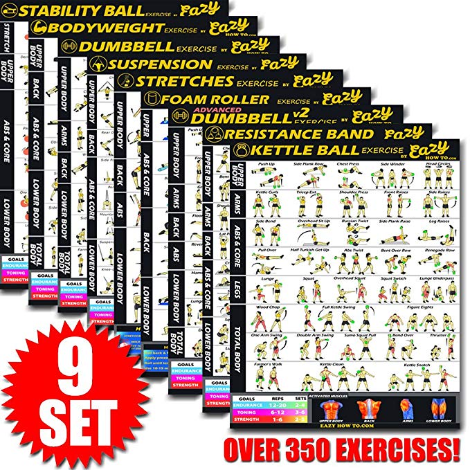 Eazy How To Multi Pack Bundle Exercise Workout Poster BIG 28 x 20